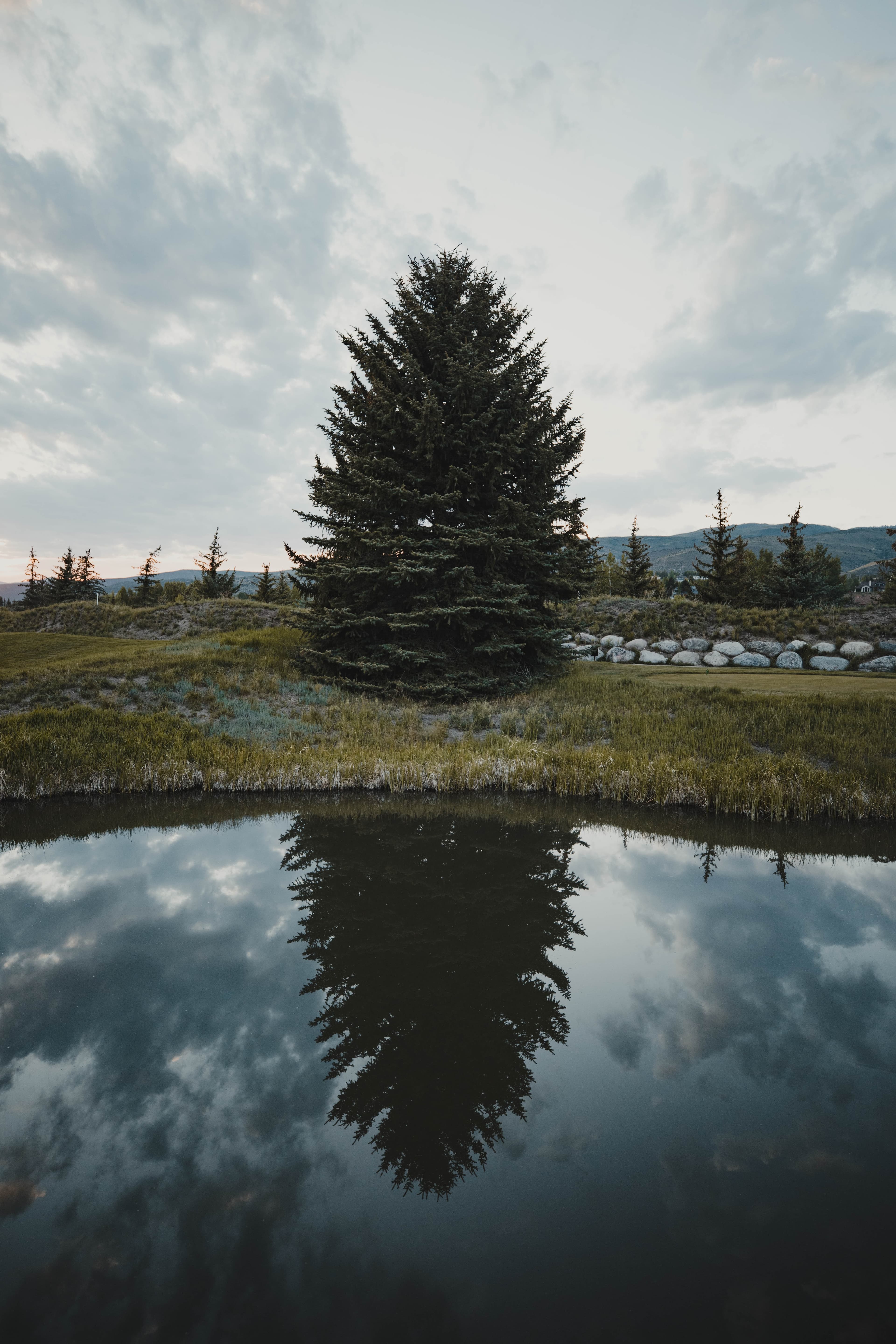 Header Image